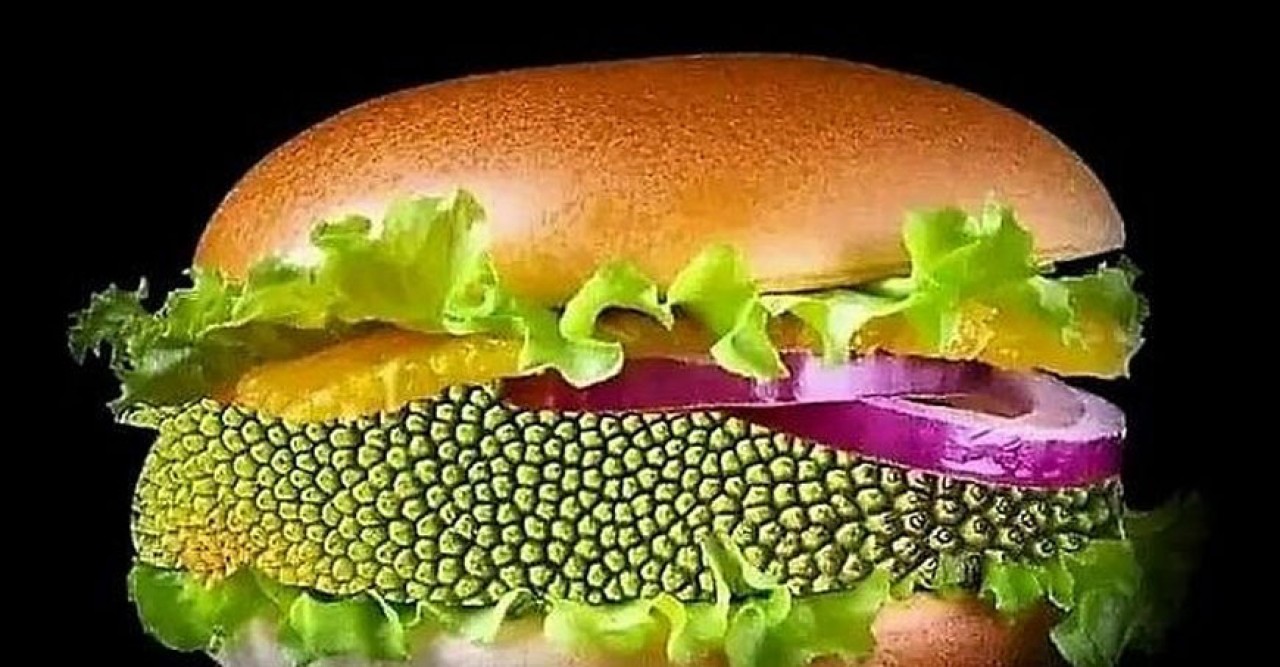 কাঁঠালের বার্গার! কল্পনা নয় বাস্তব