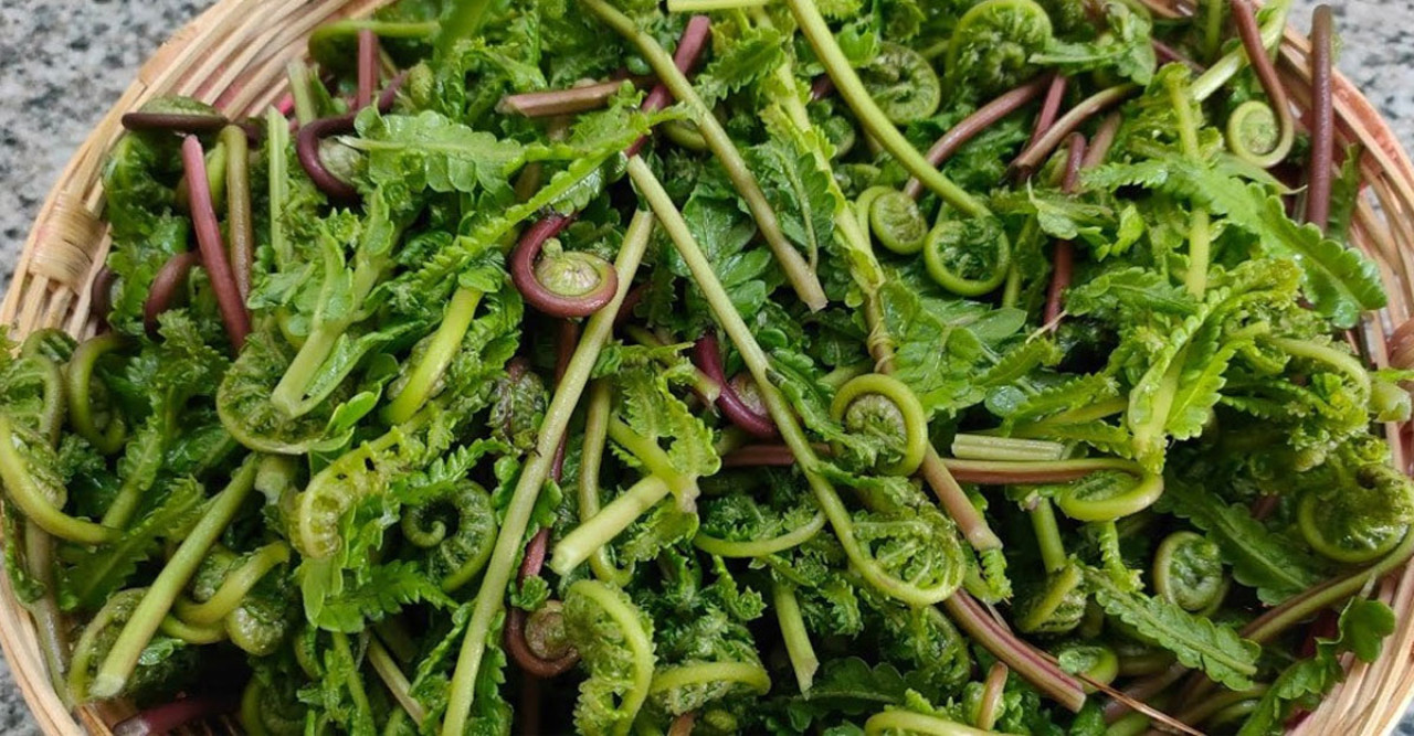 পুষ্টিতে ভরপুর ঢেঁকি শাক নিয়মিত খেলে হাড় হবে শক্তিশালী