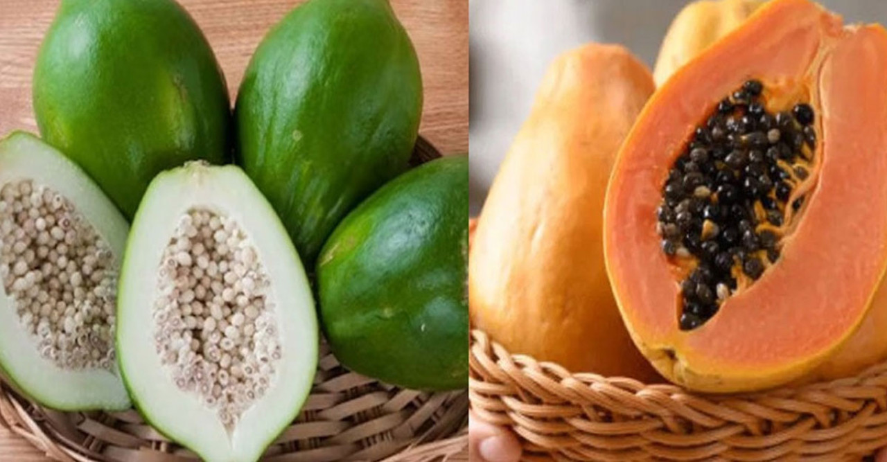 পেঁপেতে কমবে ওজন-ব্লাড সুগার-প্রেশার