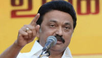 তামিলনাড়ুর ভাষা-আন্দোলন: হিন্দি চাপানোর বিরুদ্ধে প্রতিবাদ তীব্র  