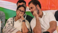 কে হবেন INDIA জোটের প্রধানমন্ত্রী মুখ? মমতা না রাহুল? কী বলছে সমীক্ষা